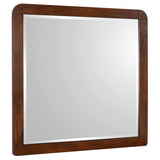 Robyn Dresser Mirror