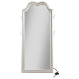 Evangeline Length LED Light Floor Mirror Silver Oak