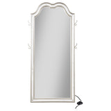 Evangeline Length LED Light Floor Mirror Silver Oak