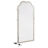 Evangeline Length LED Light Floor Mirror Silver Oak