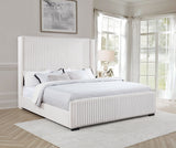 Natasha 65-inch Upholstered California King Bed Cream