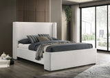 Alamosa Boucle Upholstered Platform Bed White
