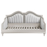 Evangeline Upholstered Daybed Silver Oak