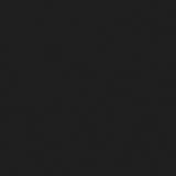 Fisher Workstation Loft Bed Gunmetal