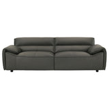 Buxton 2-piece Leather Upholstered Sofa Set Graphite