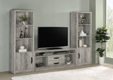 Burke 2-door Engineered Wood TV Stand Grey Driftwood