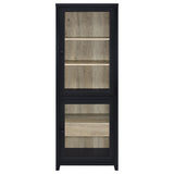 Denison 67-inch 2-door Media Tower Storage Cabinet Black