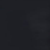 Haidera 4-Panel Room Divider Folding Screen Black Damask