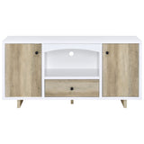 Dalton 2-door Storage Cabinet White and Distressed Pine