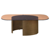 Morena Rectangular Tawny Glass Coffee Table Brushed Bronze
